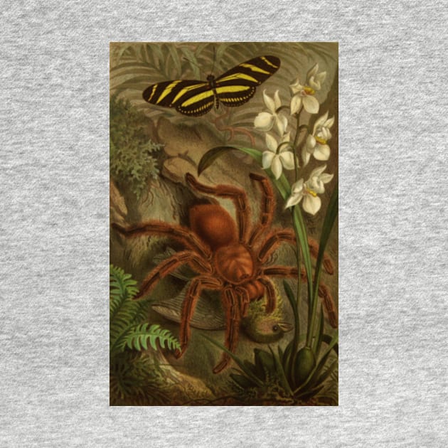 Vintage Tarantula by bluespecsstudio